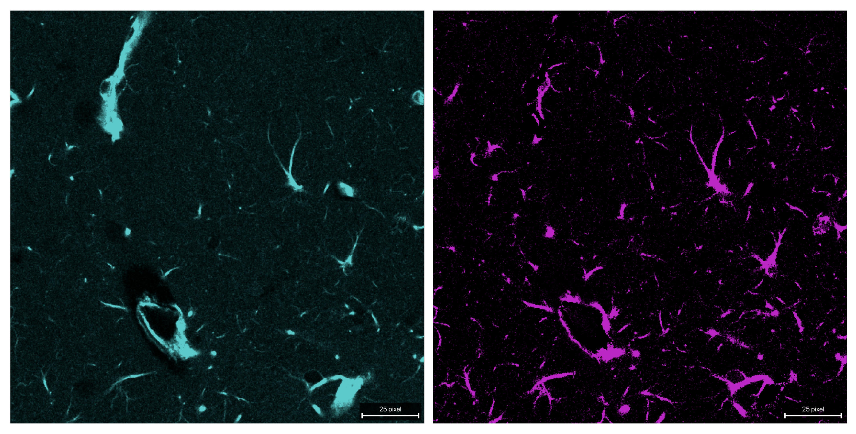 Result of unmixing with the corr-min method