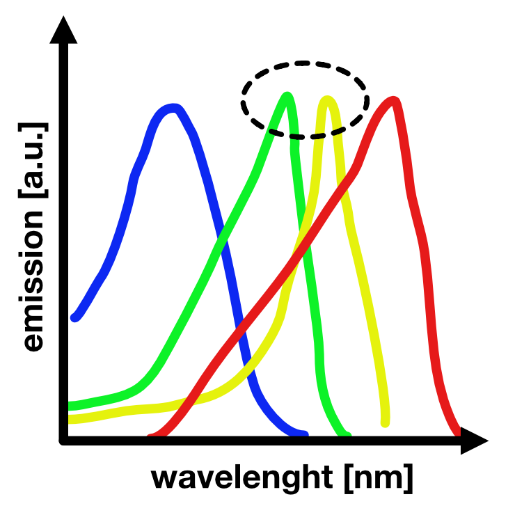 Schematic illustration of spectral bleed-through