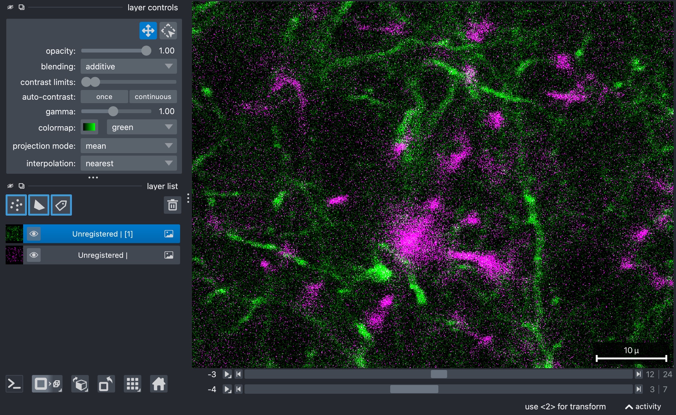 Raw two-channel example stack (3D+t) used in this tutorial. Shown is slice z=12 at t=3.