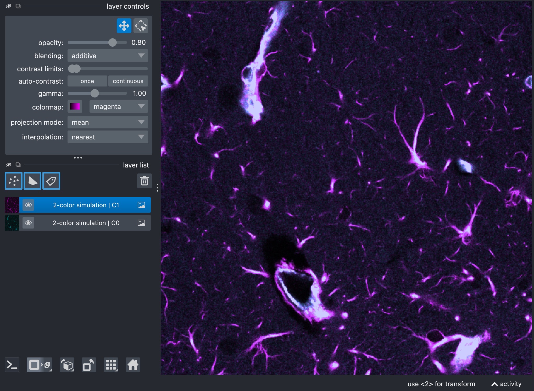 Raw composite view of the two-channel stack.