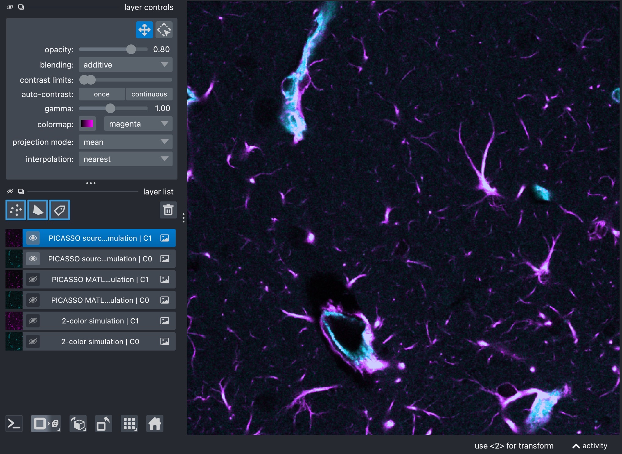 Composite image of the unmixed two-channel stack.