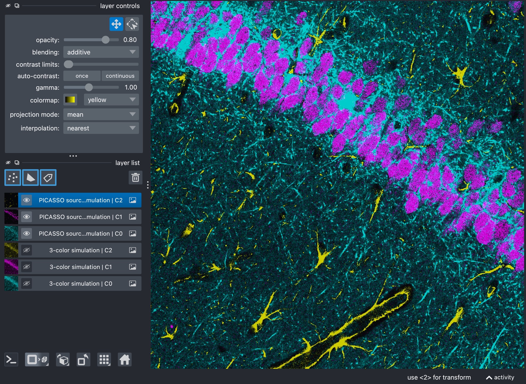 Composite view of the unmixed three-channel stack after the source-sink-N blind-unmixing run.